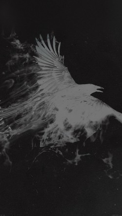 af10-white-bird-smoke-art-illust