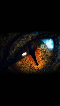ah33-eye-dragon-film-hobbit-the-battle-five-armies-art-dark
