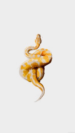 aj16-snake-illust-minimal-art-by-garillu