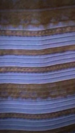 aj90-white-gold-dress