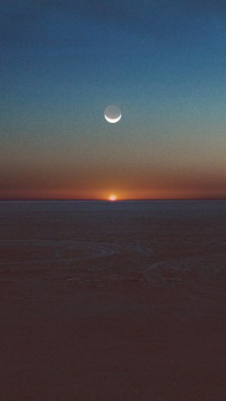 am31-tycho-spectre-art-music-sunset-dessert-art