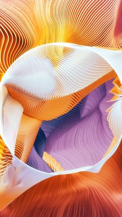 ar68-plums-ari-weinkle-art-illustration-orange