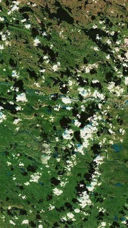 at46-earthview-forest-cloud-river-nature-art-illustration
