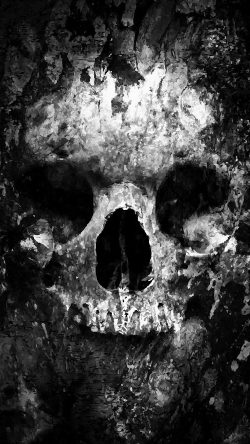 au44-skull-face-ark-paint-illustration-art-bw-dark