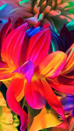 au85-apple-mackbook-flower-rainbow-color-illustration-art-nature
