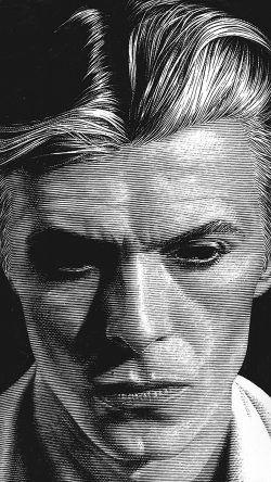 bg91-david-bowie-art-face-singer-artist-bw-dark-illust-anime