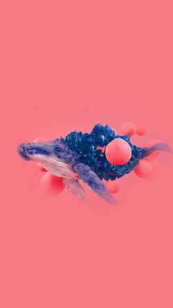 bg95-whale-pink-bubble-illustration-digital-art-animal-blue