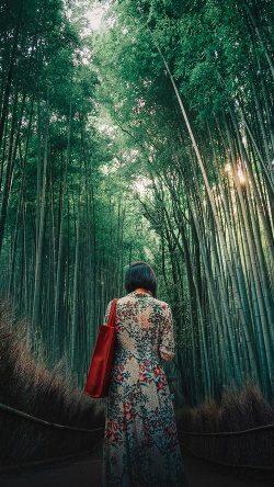 bi22-forest-bamboo-wood-girl-art
