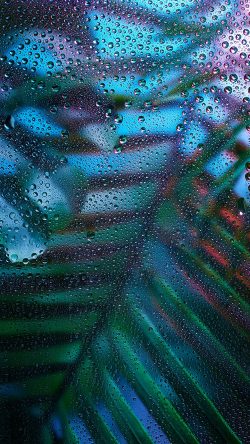 bk11-art-rain-plant-flower-night