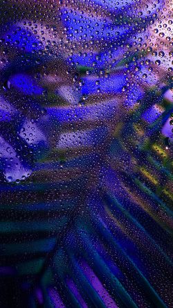 bk12-art-rain-plant-flower-night-blue