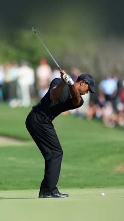 he35-tiger-woods-golf-sports