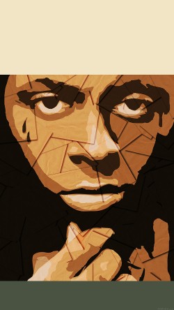 he62-lil-wayne-rapper-music-celebrity-art