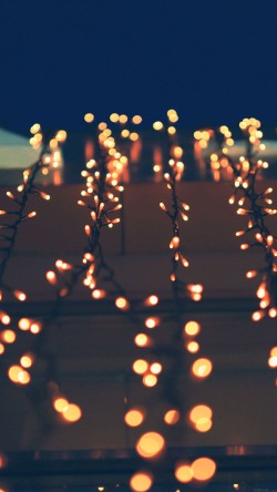 ma04-zlights-night-nature
