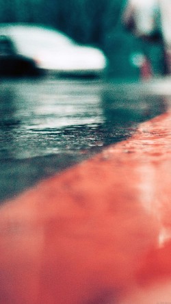 ma66-rainy-walk-nature