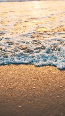 papers