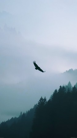 md70-eagle-mountain-blue