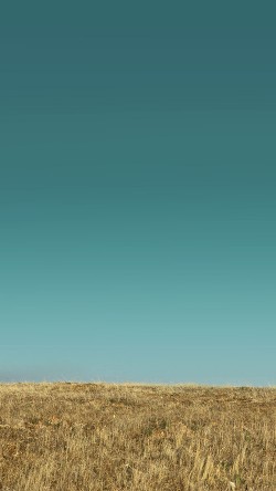 md86-nature-field-green-sky