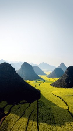 mf00-nature-mountain-high-green-field