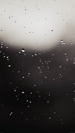 mf05-rain-by-zomx-drops-window