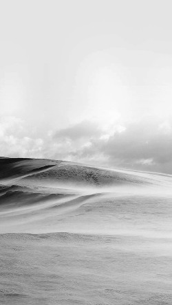 mf89-desert-garden-white-no-water-food