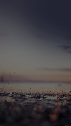 mf92-rain-drop-on-dark-afternoon-nature