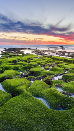 mg77-la-jolla-green-shore-wallpaper-sea