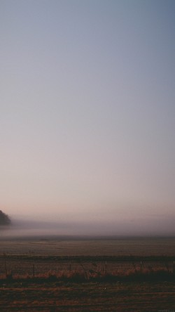 mi56-foggy-land-wide-nature-sonja-langford-photo