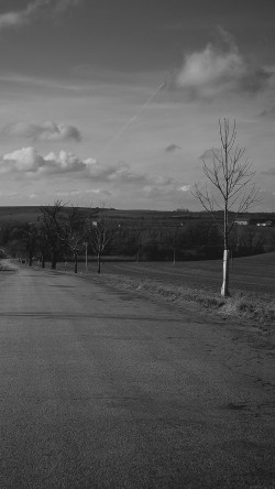 mj08-the-road-viktor-hanacek-bw-fall-nature