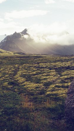 mj31-green-field-land-mountain-love-bw
