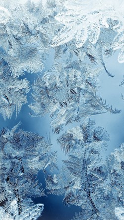 mj59-ice-pattern-blue-snow-nauture-christmas