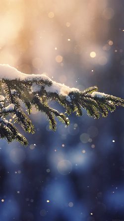 mk28-snowing-tree-blue-christmas-winter-nature-mountain