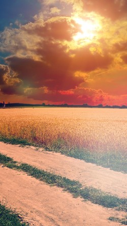 mm00-hot-sunny-day-instagram-look-nature-farm