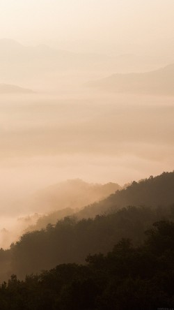 mm99-mountain-fog-yellow-nature