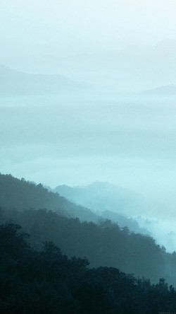 mn01-mountain-fog-green-nature