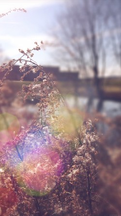 papers