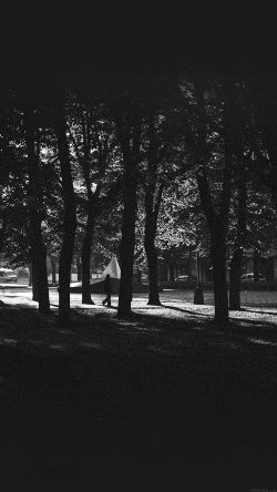 mo43-backyard-wood-dark-nature-in-city