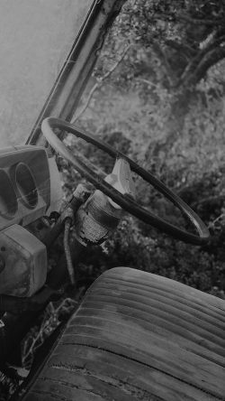 mo67-old-car-forest-vintage-black-dark-nature-carl-kadysz