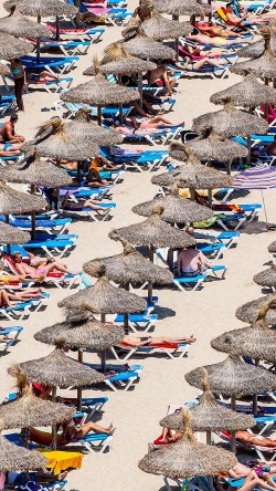501566867DR049_Tourists_Flo