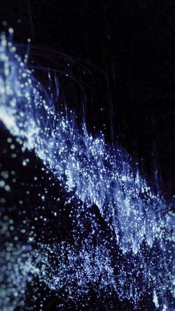 mp23-sea-of-lights-dark-blue-night-love-nature
