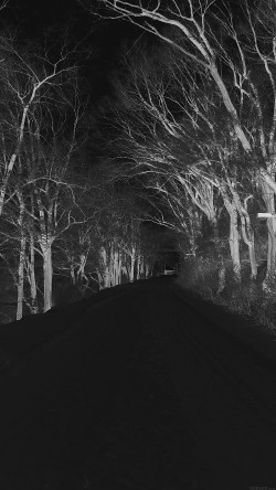 mp51-winter-scary-road-nature-mountain-dark