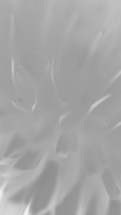 papers