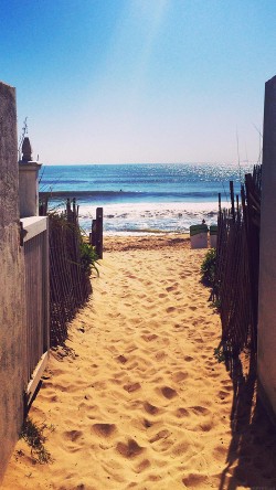 mq82-way-to-sea-sand-ocean-beach-nature