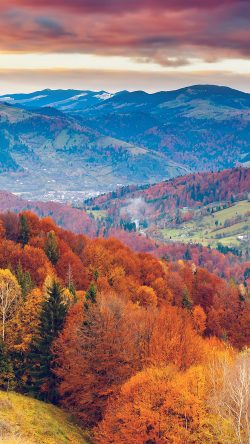 mr50-fall-mountain-fun-red-orange-tree-nature-beautiful