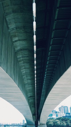 ms01-city-bridge-green-nature