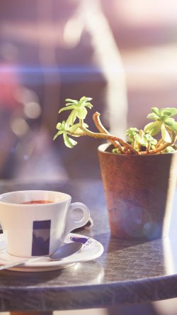 ms21-cafe-coffee-city-bokeh-life-art-nature-bokeh