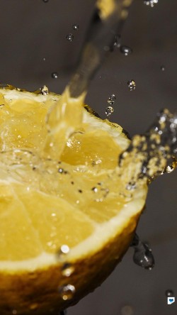 mt19-orange-water-lemon-fruit