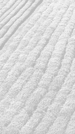 mt58-white-field-nature-farm-summer