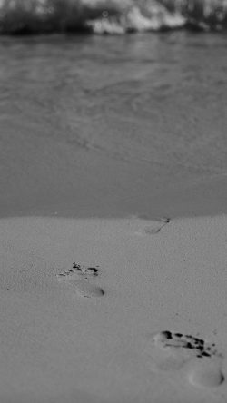 mt61-sea-beach-footprint-vacation-summer-dark-bw