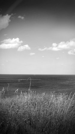 mt67-sea-cloud-flower-nature-old-nostalgia-dark-bw