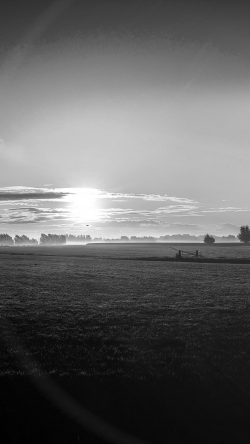 mt99-sunny-morning-farm-peace-nature-bw-dark
